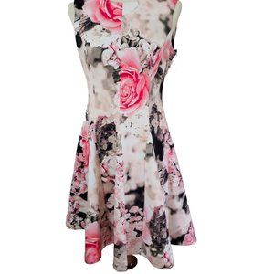 Calvin Klein Women's Sleeveless Dress Size 6